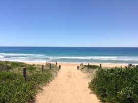 Palm-beach Sydney