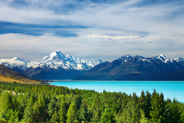 This Is Why You NEED To Visit New Zealand This Year!