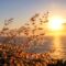 agustin-gunawan-7iwYPkGzO2o-unsplash